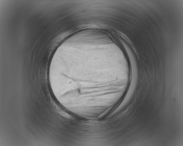 X0000080740938200701121933