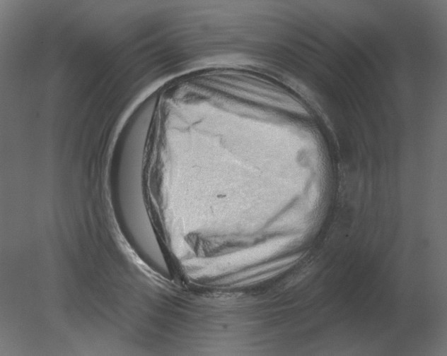 X0000080740939200701121933