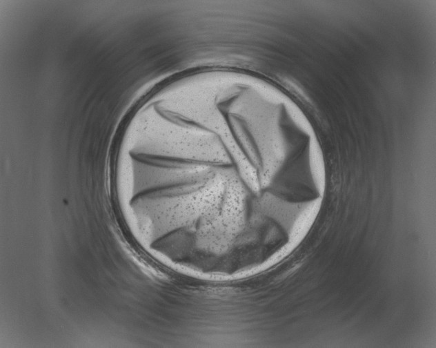 X0000080740940200701121933