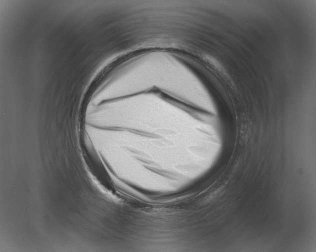 X0000080740942200701121933