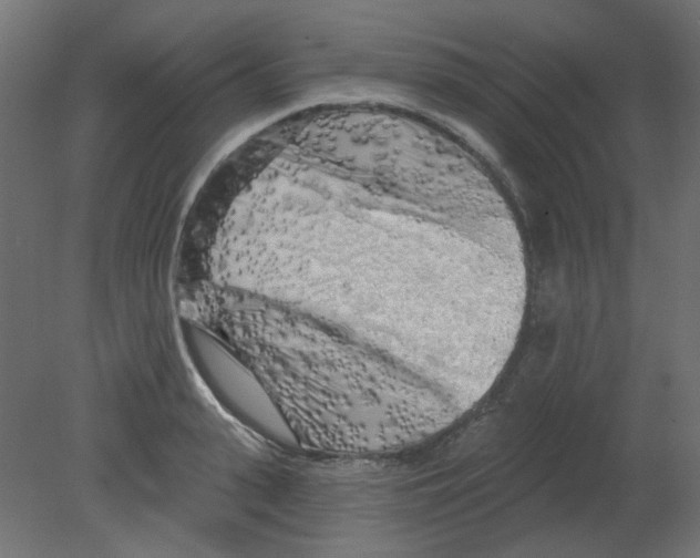 X0000080740943200701121933