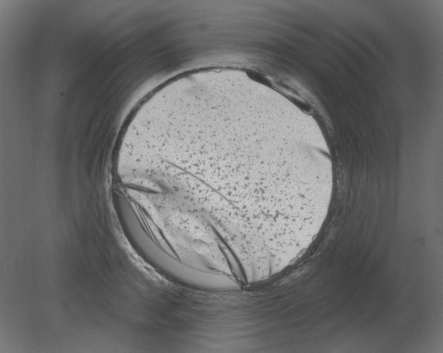 X0000080740944200701121933