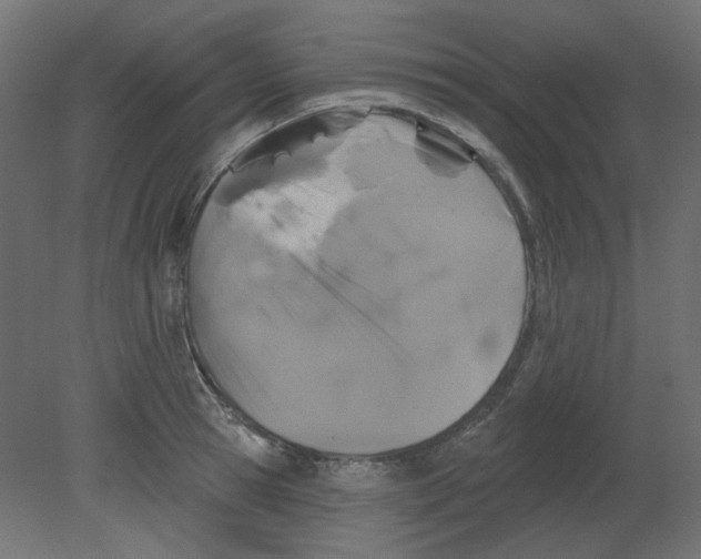 X0000080740945200701121933