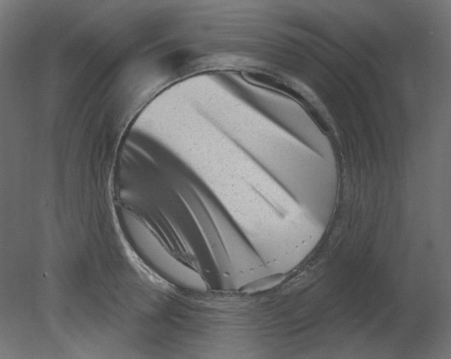 X0000080740946200701121933