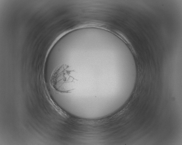 X0000080740948200701121933