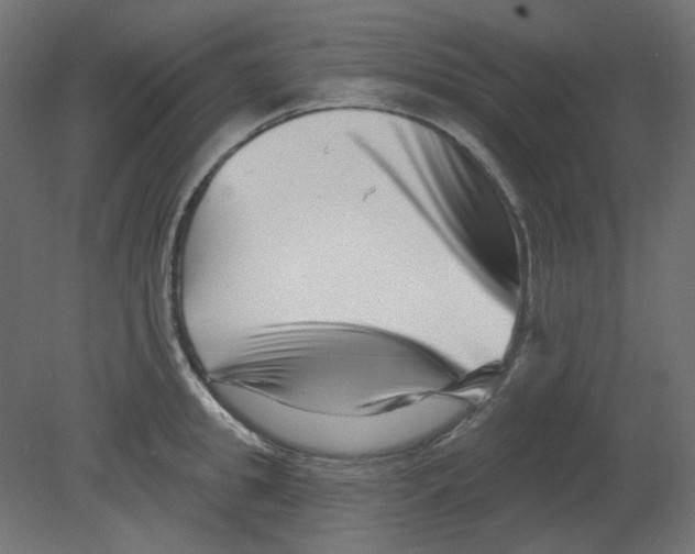 X0000080740949200701121933