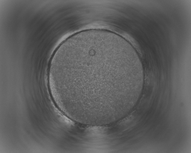 X0000080740950200701121933