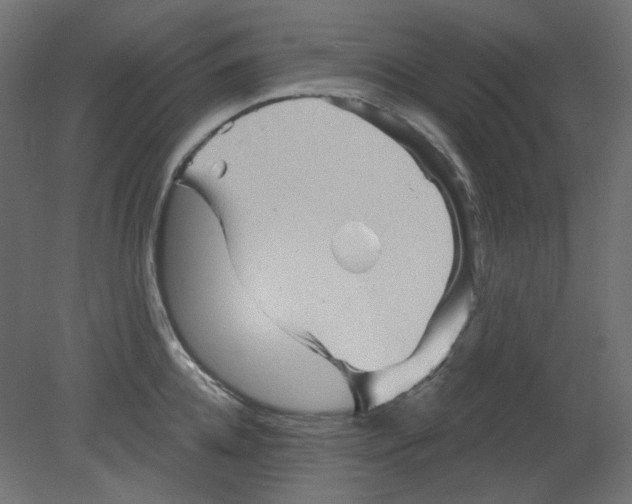 X0000080740952200701121933