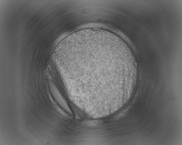 X0000080740953200701121933