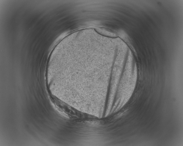 X0000080740954200701121933