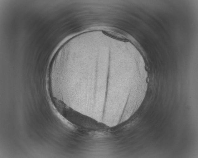 X0000080740955200701121933