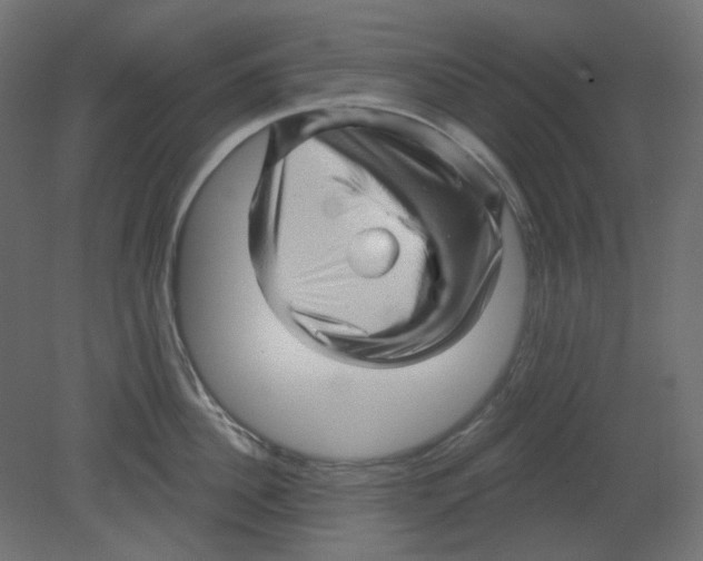 X0000080740956200701121933