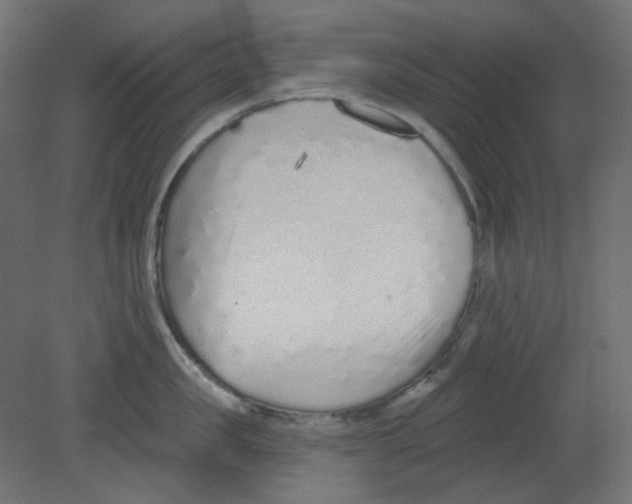 X0000080740957200701121933