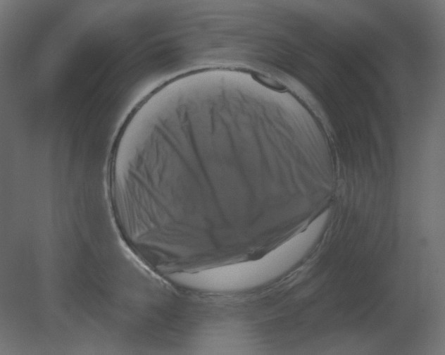 X0000080740958200701121933