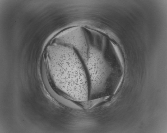 X0000080740960200701121933