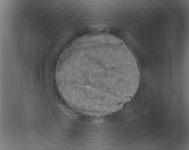 X0000080740961200701121932