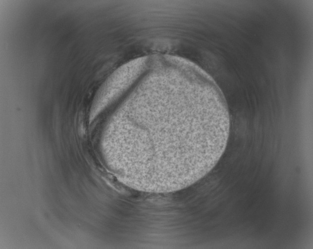 X0000080740962200701121932