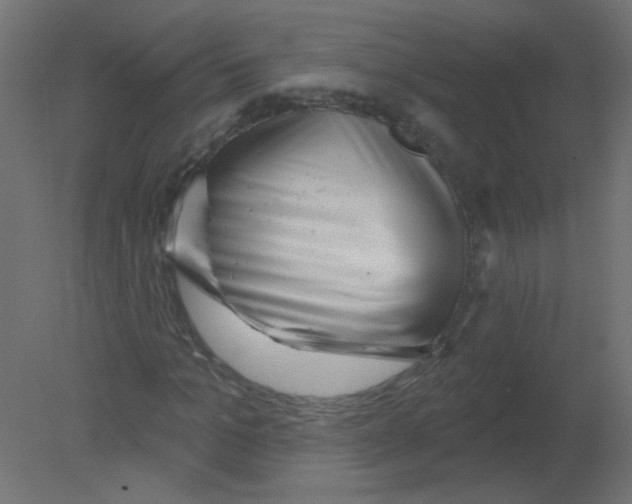 X0000080740965200701121932