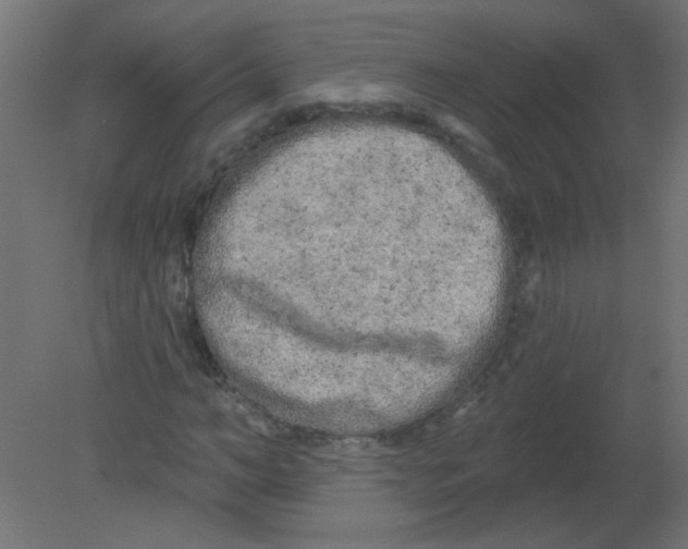 X0000080740966200701121932