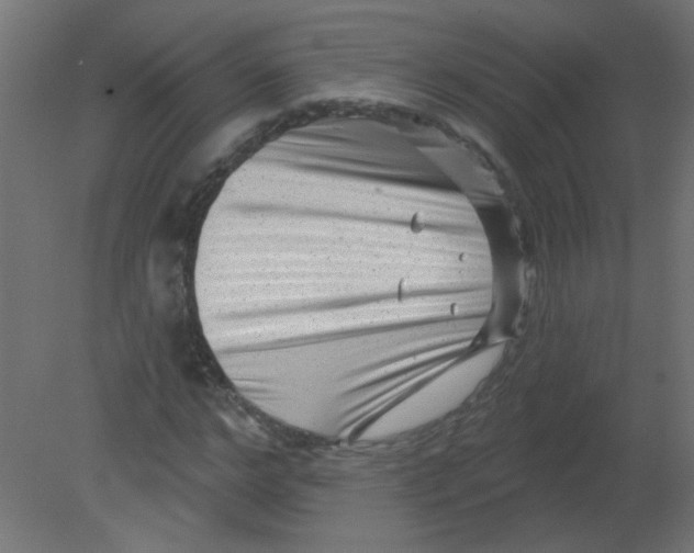 X0000080740968200701121932