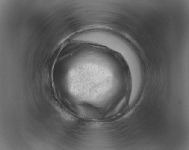 X0000080740969200701121932