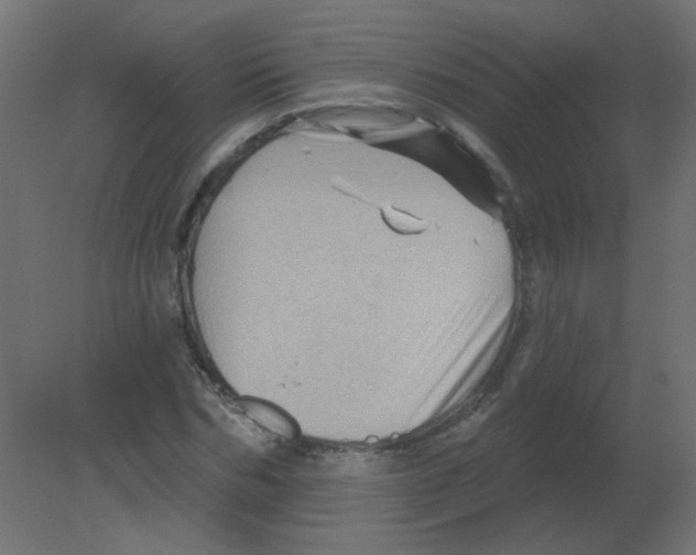 X0000080740970200701121932