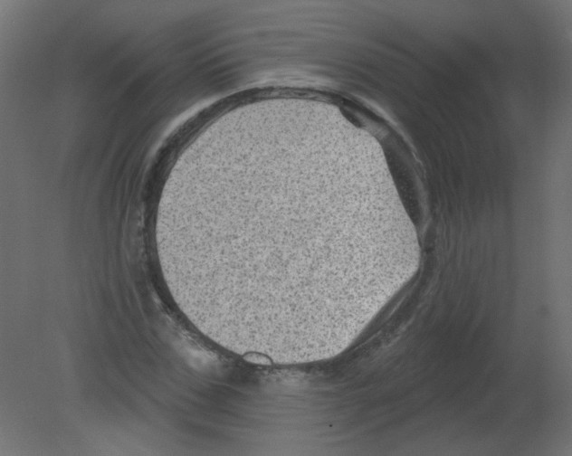 X0000080740971200701121932