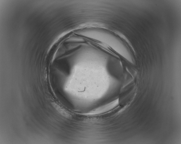 X0000080740973200701121932