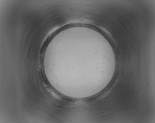 X0000080740974200701121932