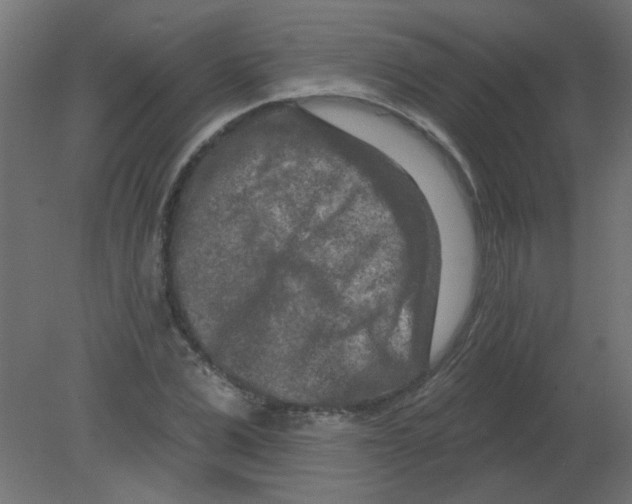 X0000080740975200701121932