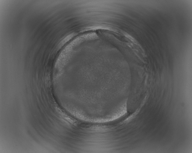 X0000080740977200701121932