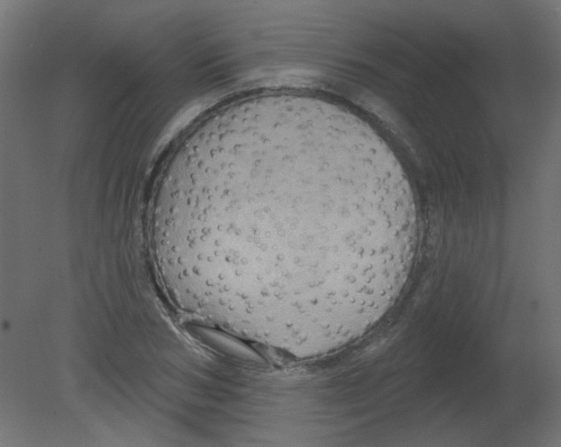 X0000080740978200701121932