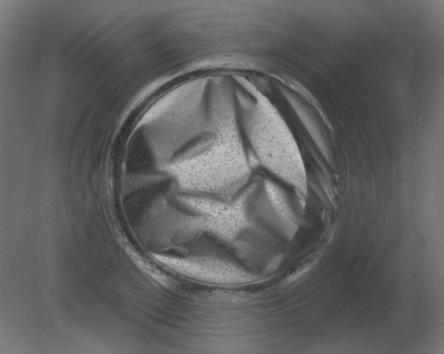 X0000080740981200701121932