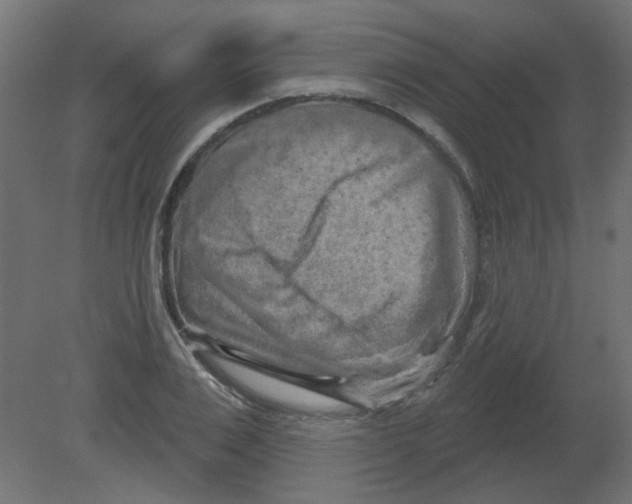 X0000080740983200701121932