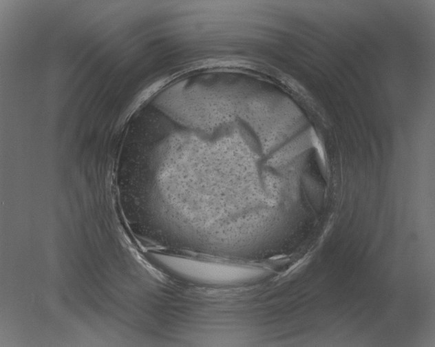 X0000080740985200701121932