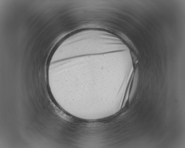 X0000080740988200701121932