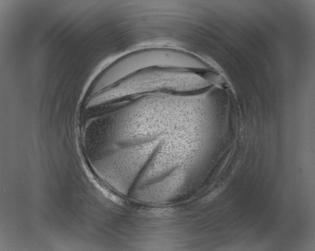 X0000080740989200701121932