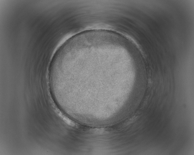 X0000080740990200701121932