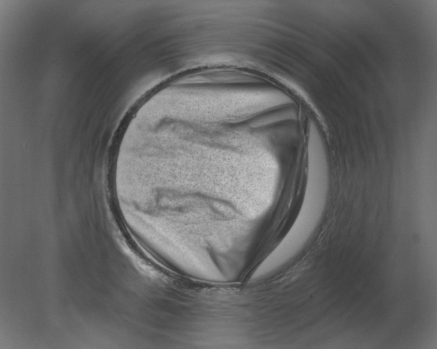 X0000080740991200701121932