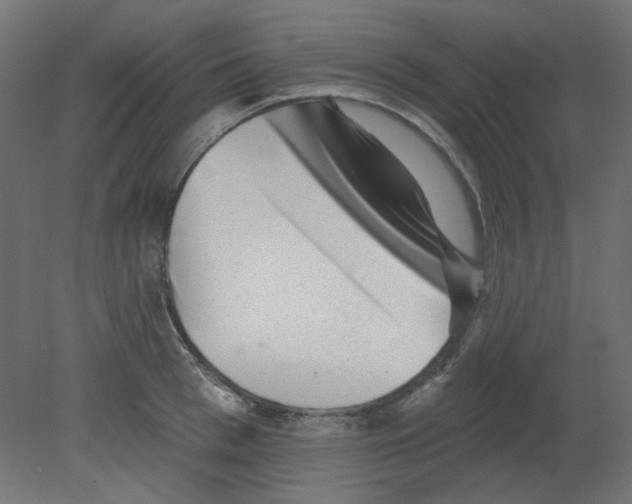 X0000080740993200701121932