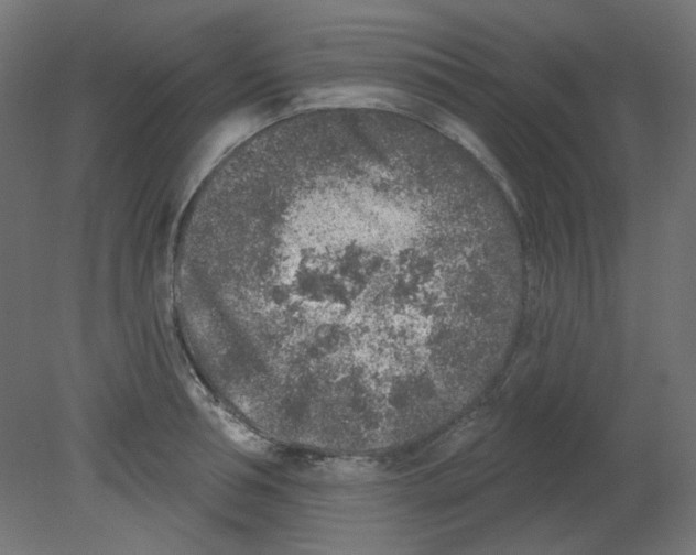 X0000080740994200701121932