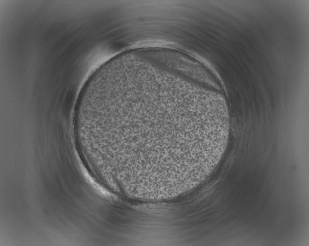 X0000080740995200701121932