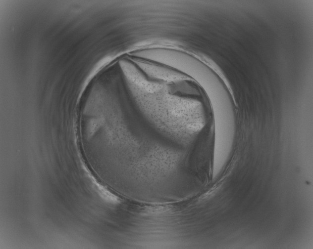 X0000080740997200701121932