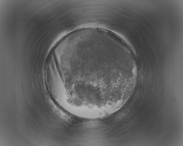 X0000080740998200701121932