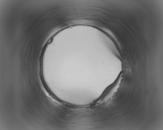 X0000080740999200701121932