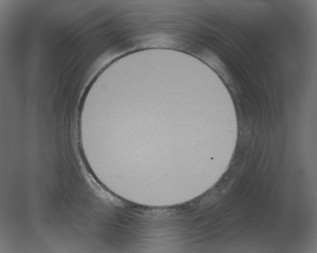 X0000080741000200701121932