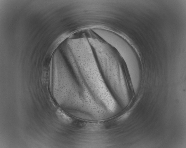 X0000080741001200701121932