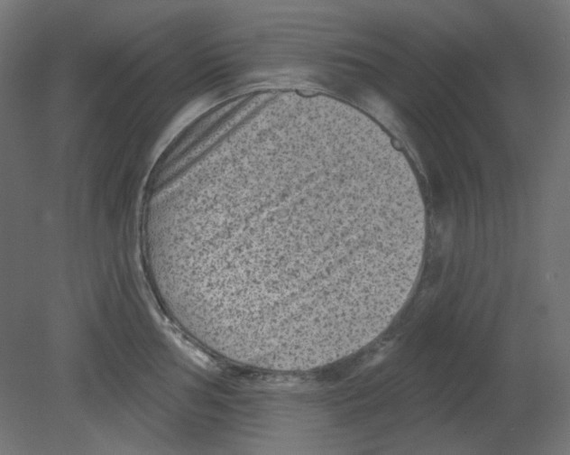 X0000080741002200701121932