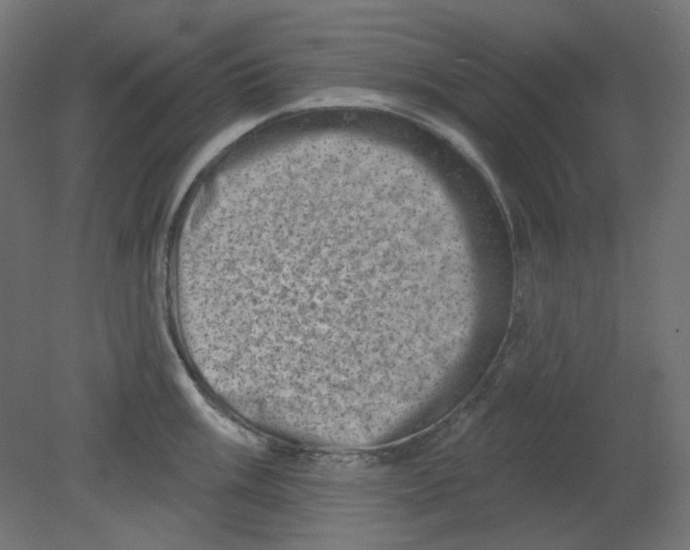 X0000080741003200701121932