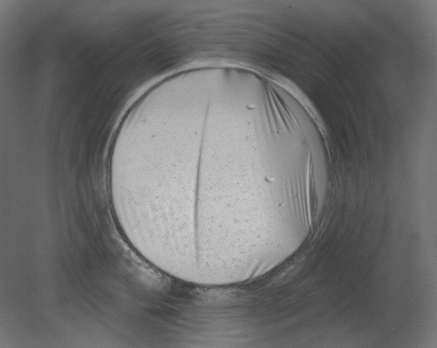 X0000080741004200701121932